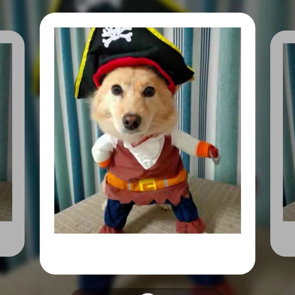 Pirate Costume for Dogs