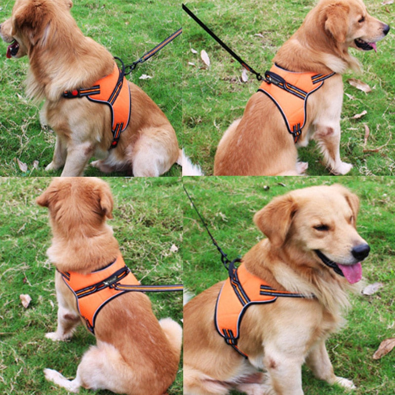 No-Pull Reflective Dog Harness