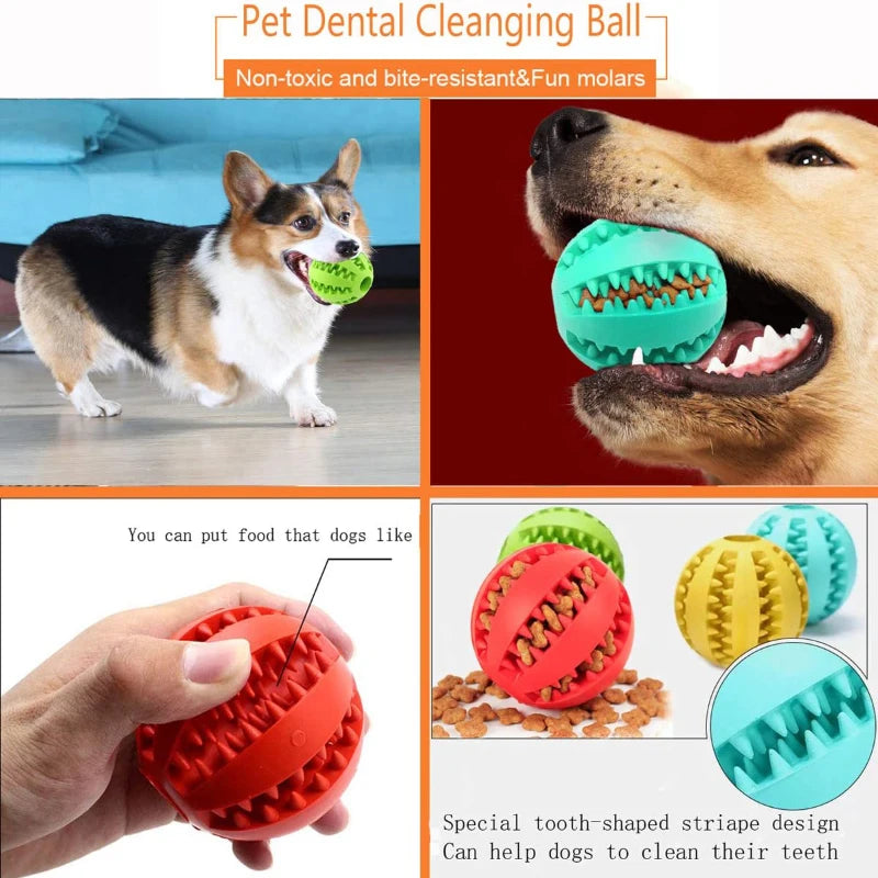 Treat Dispensing Dog Chew Ball