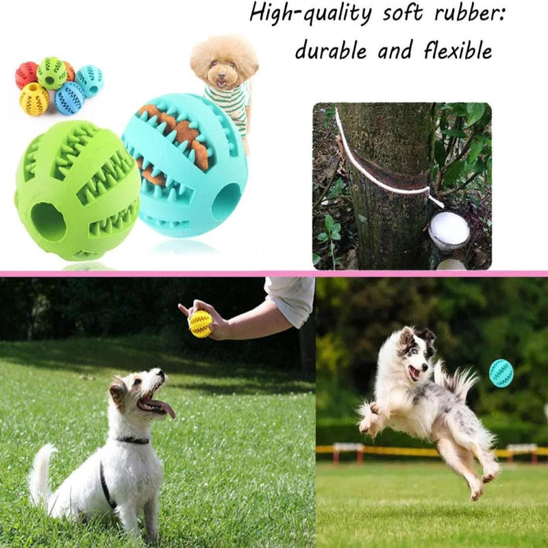 Treat Dispensing Dog Chew Ball